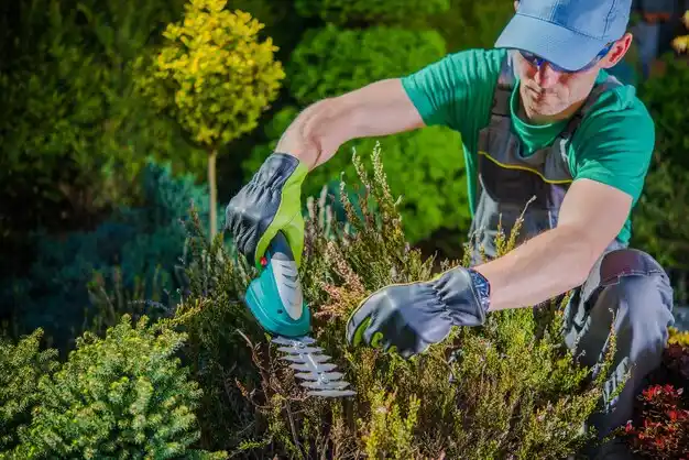 landscaping services Perry